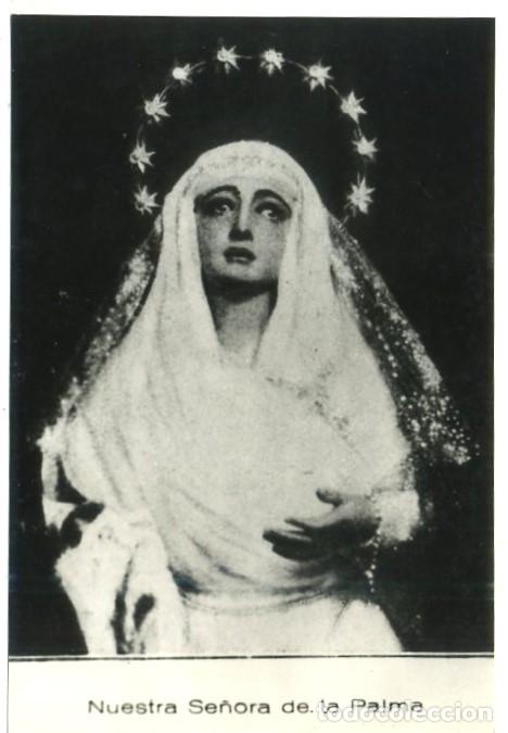 Fotograf&iacute;a antigua: REPRODUCCION FOTOGRAFICA DE LA S.SANTA DE SEVILLA, NTRA. SE&Ntilde;ORA DE LA PALMA. . FOTOSESANTA-281 ,6