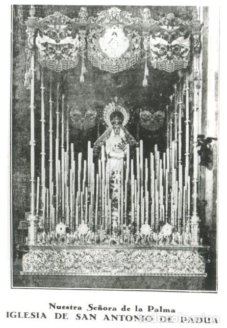 Fotografia antica: REPRODUCCION FOTOGRAFICA DE LA S.SANTA DE SEVILLA, NTRA. SE&Ntilde;ORA DE LA PALMA. FOTOSESANTA-286