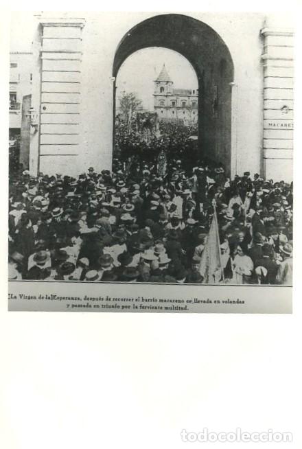 Fotograf&iacute;a antigua: REPRODUCCION FOTOGRAFICA DE LA S.SANTA DE SEVILLA, VIRGEN DE LA MACARENA. FOTOSESANTA-288 ,5