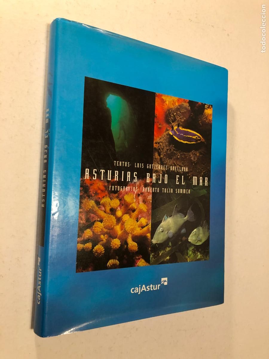 Fotograf&iacute;a antigua: Asturias bajo el mar - Fotograf&iacute;a submarina Cant&aacute;brico - Cajastur - Luis Guti&eacute;rrez Orellana