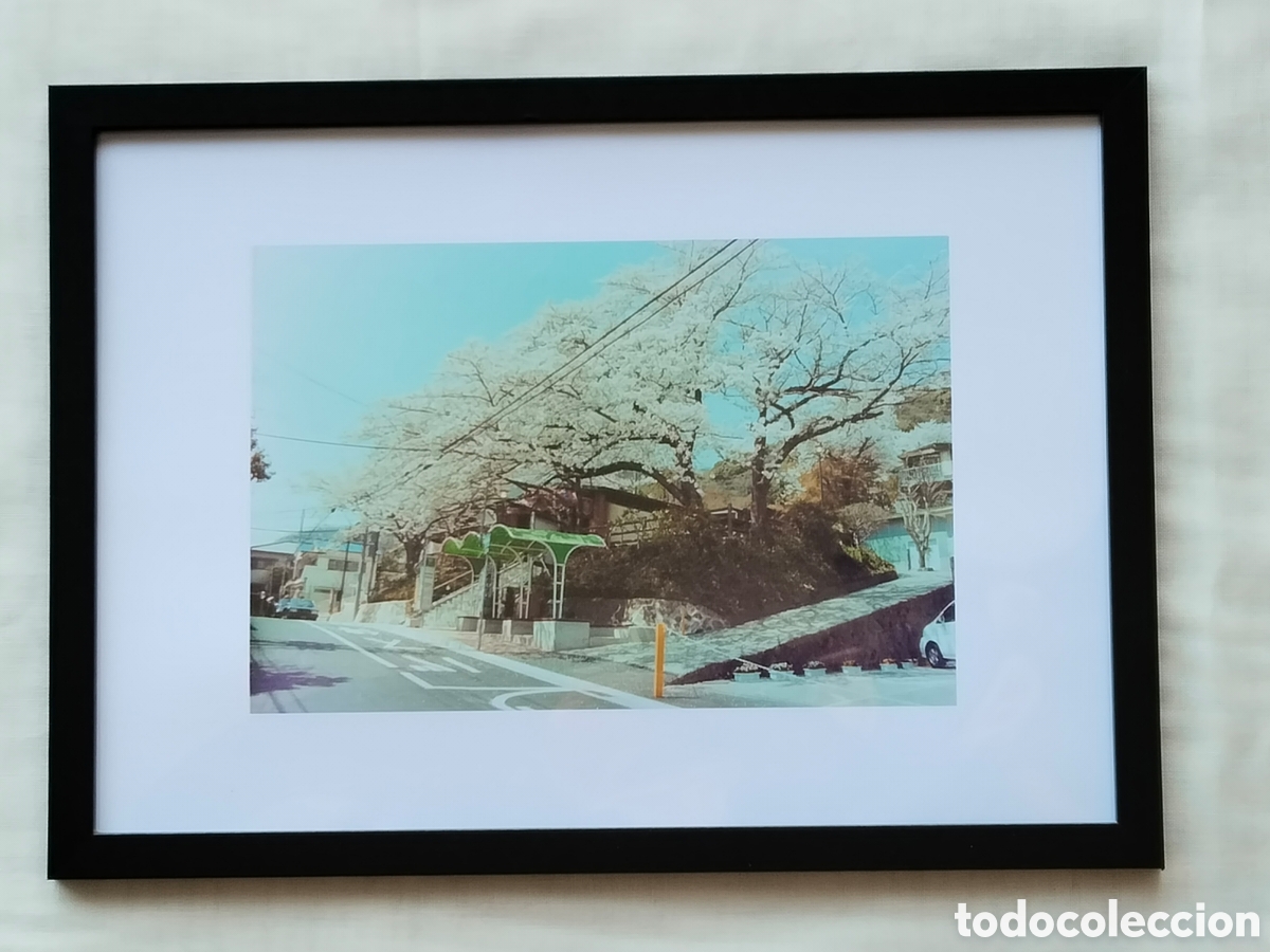 Fotograf&iacute;a antigua: Fotograf&iacute;a Enmarcada Cerezos En Flor Sakura Kobe (Jap&oacute;n) Telef&eacute;rico Maya - Tama&ntilde;o A4
