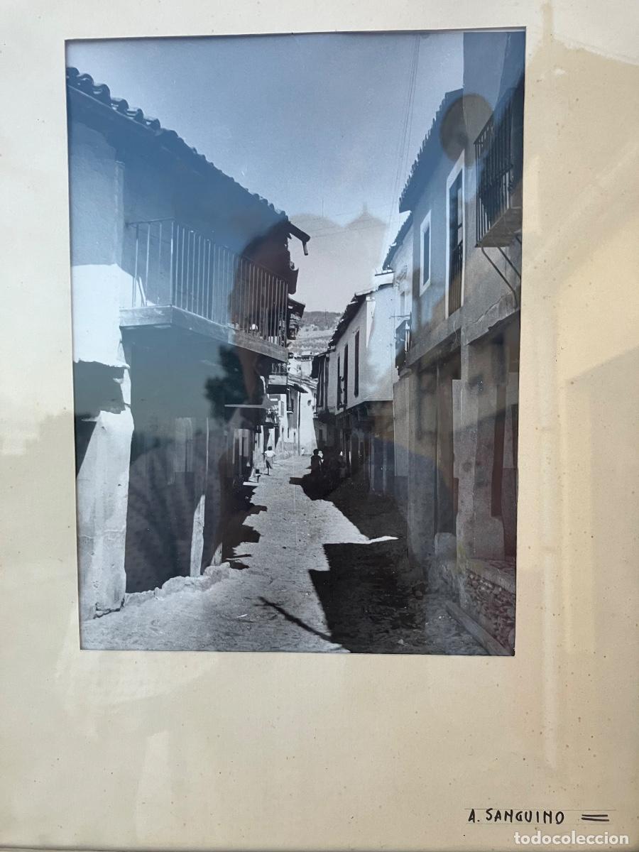 Fotograf&iacute;a antigua: SAN MARTIN DE TREVEJO C&Aacute;CERES FOTOGRAF&Iacute;A DE A SANGUINO