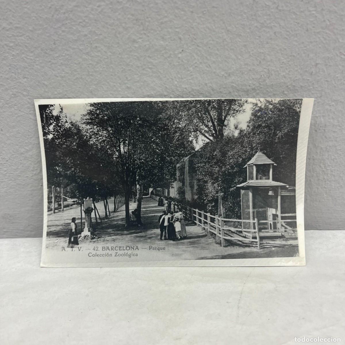 Fotograf&iacute;a antigua: ANTIGUA FOTOGRAFIA - PARK CIUTADELLA - COLECCI&Oacute;N ZOOL&Oacute;GICA - VERS 1904 - 140 X 90 MM / 4666