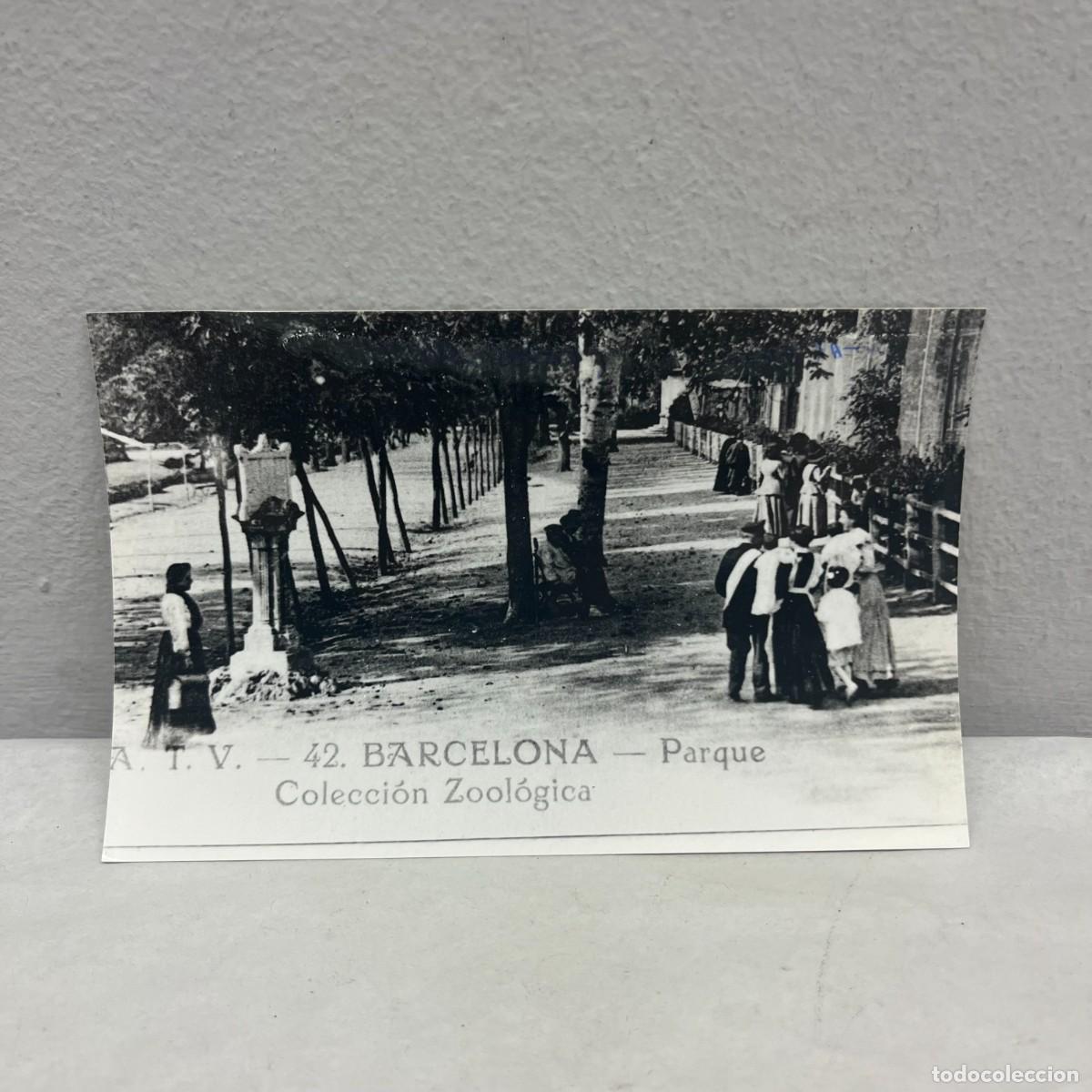 Fotograf&iacute;a antigua: ANTIGUA FOTOGRAFIA - PARK CIUTADELLA - COLECCI&Oacute;N ZOOL&Oacute;GICA - VERS 1904 - 140 X 90 MM / 4667