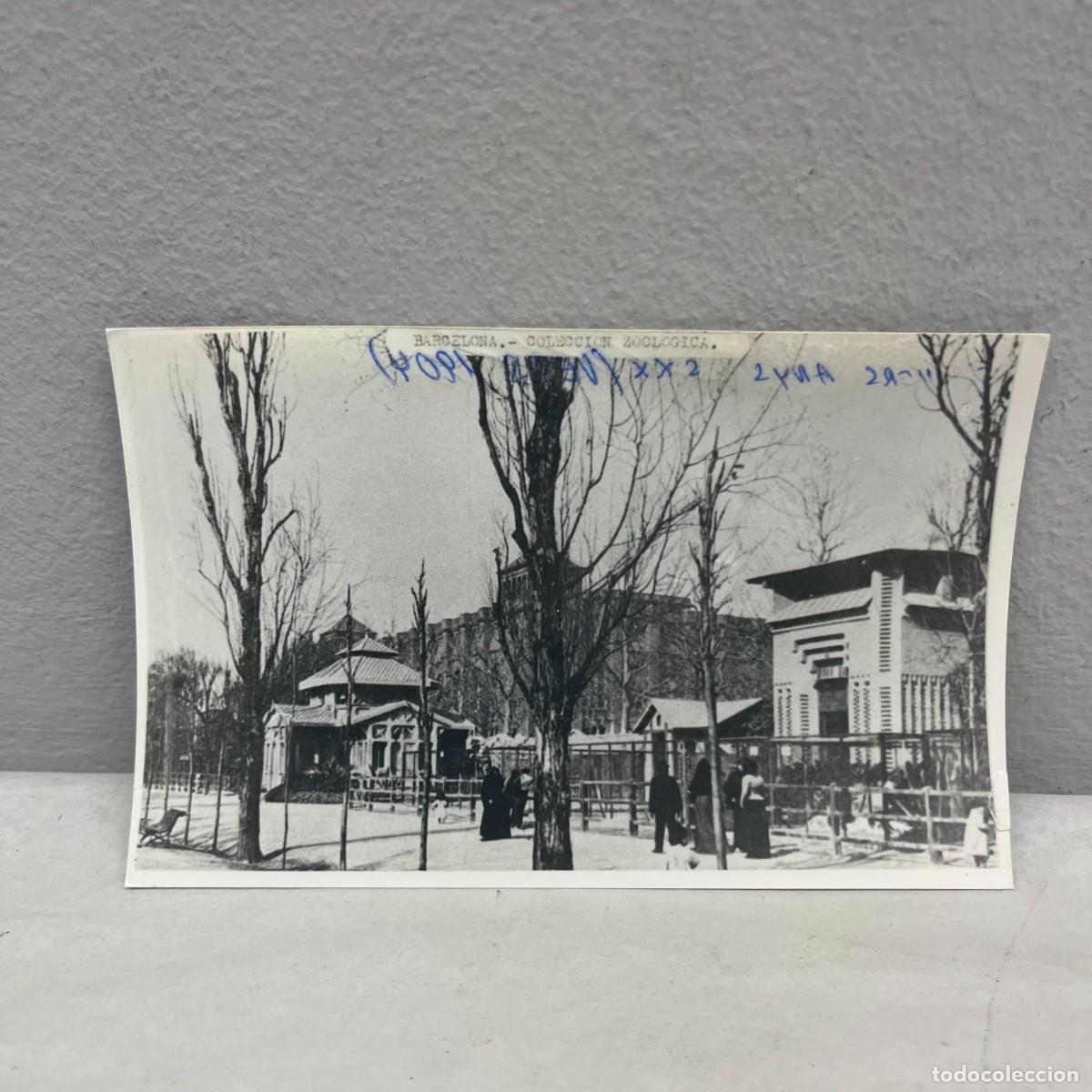 Fotograf&iacute;a antigua: ANTIGUA FOTOGRAFIA - PARK CIUTADELLA - COLECCI&Oacute;N ZOOL&Oacute;GICA - VERS 1900 - 140 X 90 MM / 4668
