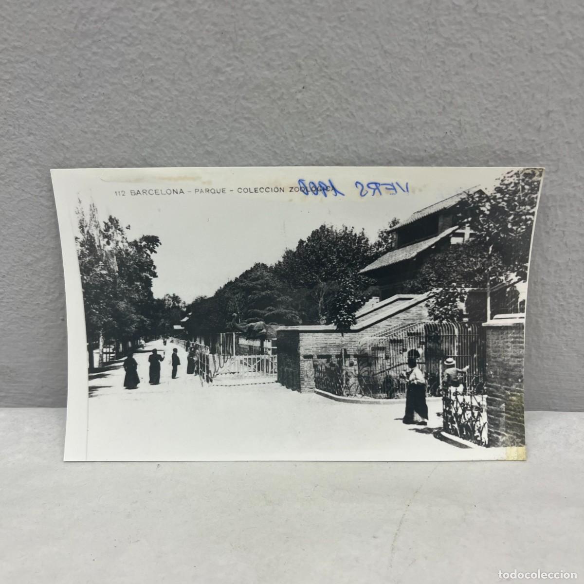 Fotograf&iacute;a antigua: ANTIGUA FOTOGRAFIA - PARK CIUTADELLA - COLECCI&Oacute;N ZOOL&Oacute;GICA - VERS 1907 - 140 X 90 MM / 4669