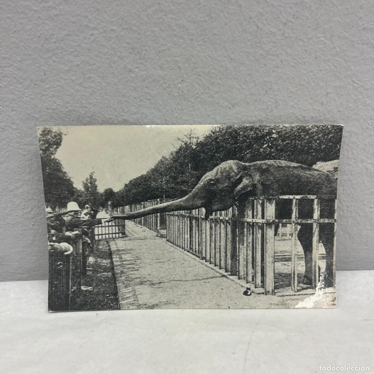 Fotograf&iacute;a antigua: ANTIGUA FOTOGRAFIA - PARK CIUTADELLA - ZOO - SEPTIEMBRE 1911 - 140 X 90 MM / 4672