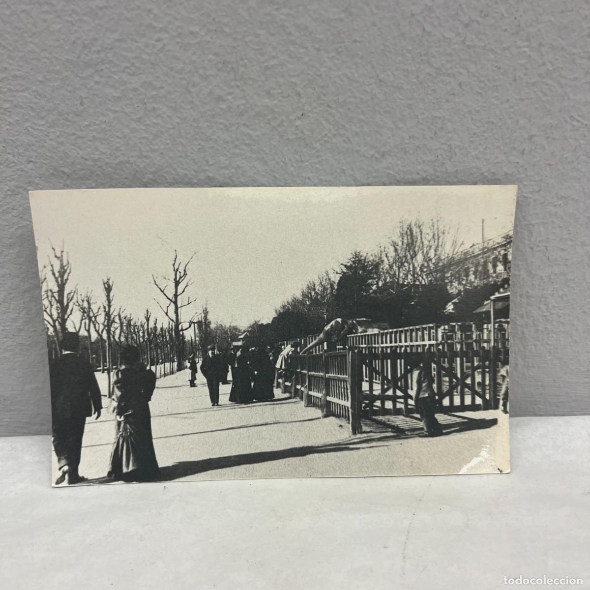 Fotograf&iacute;a antigua: ANTIGUA FOTOGRAFIA - PARK CIUTADELLA - &rdquo;L'AVI DEL ZOOLOGIC&rdquo; - 1905 - 140 X 90 MM / 4673