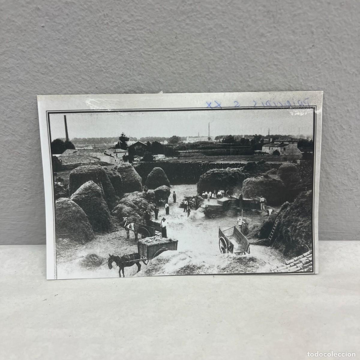 Fotograf&iacute;a antigua: ANTIGUA FOTOGRAFIA - ERA DE LA MASIA CAN CANALS - GUIPUZCUA-CANTABRIA - 140 X 90 MM / 4883