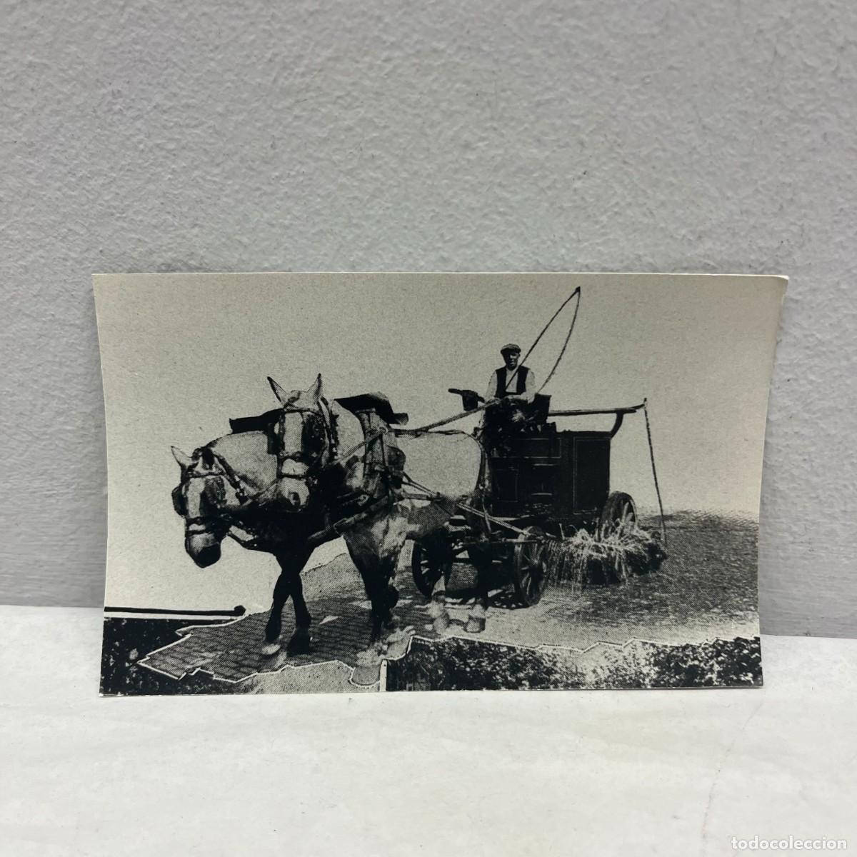Antique Photography: ANTIGUA FOTOGRAFIA - REGADORA DELS CARRERS - CARRO - LIMPIEZA PUBLICA - 1912 - 140 X 90 MM / 4935