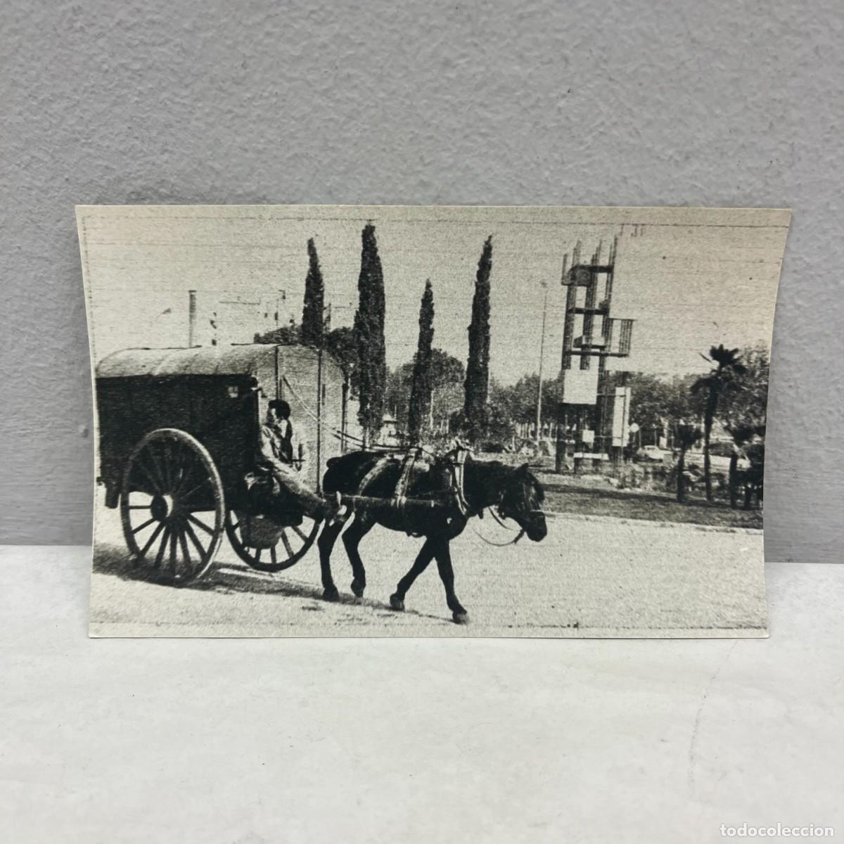 Fotograf&iacute;a antigua: ANTIGUA FOTOGRAFIA - ESPERANDO A PONER EL MONUMENTO A ILDEFONSO CERDA - 1959 - 140 X 90 MM / 4937