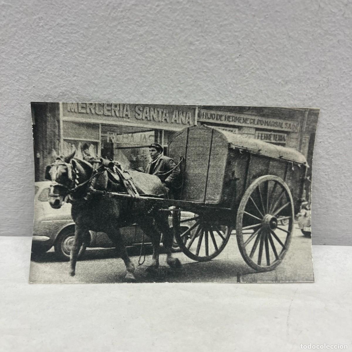 Fotograf&iacute;a antigua: ANTIGUA FOTOGRAFIA - CARRO - RECOGIDA DE BASURA - LIMPIEZA PUBLICA - 1964 - 140 X 90 MM / 4939