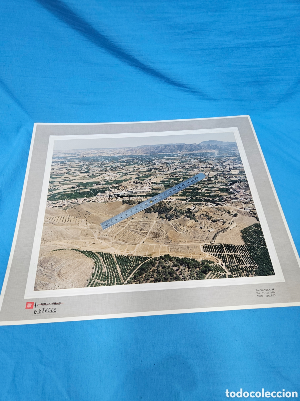 Fotograf&iacute;a antigua: FOTOGRAFIA AEREA PAISAJES ESPA&Ntilde;OLES 836565 . MURCIA