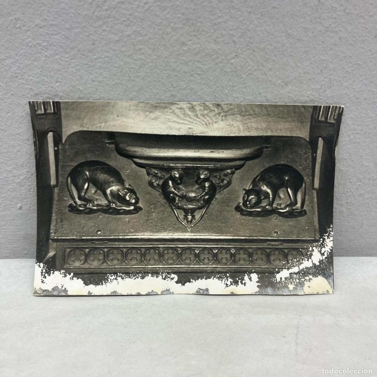 Fotograf&iacute;a antigua: ANTIGUA FOTOGRAFIA - GATS - SEU DE BARCELONA - 1988 - RELIEVE - 140 X 90 MM / 5083