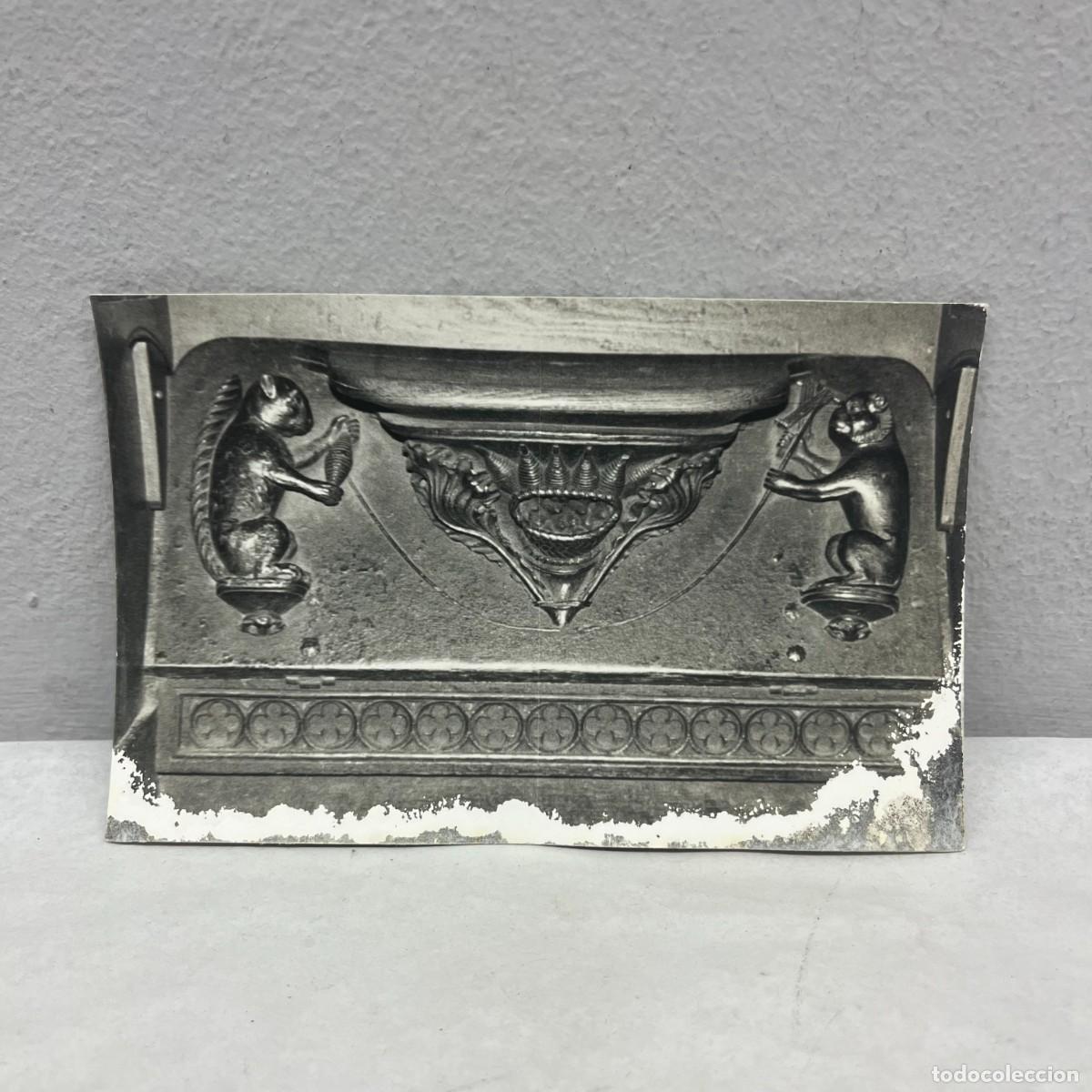 Fotograf&iacute;a antigua: ANTIGUA FOTOGRAFIA - ANIMALS FILANT - SEU DE BARCELONA - 1988 - RELIEVE - 140 X 90 MM / 5089