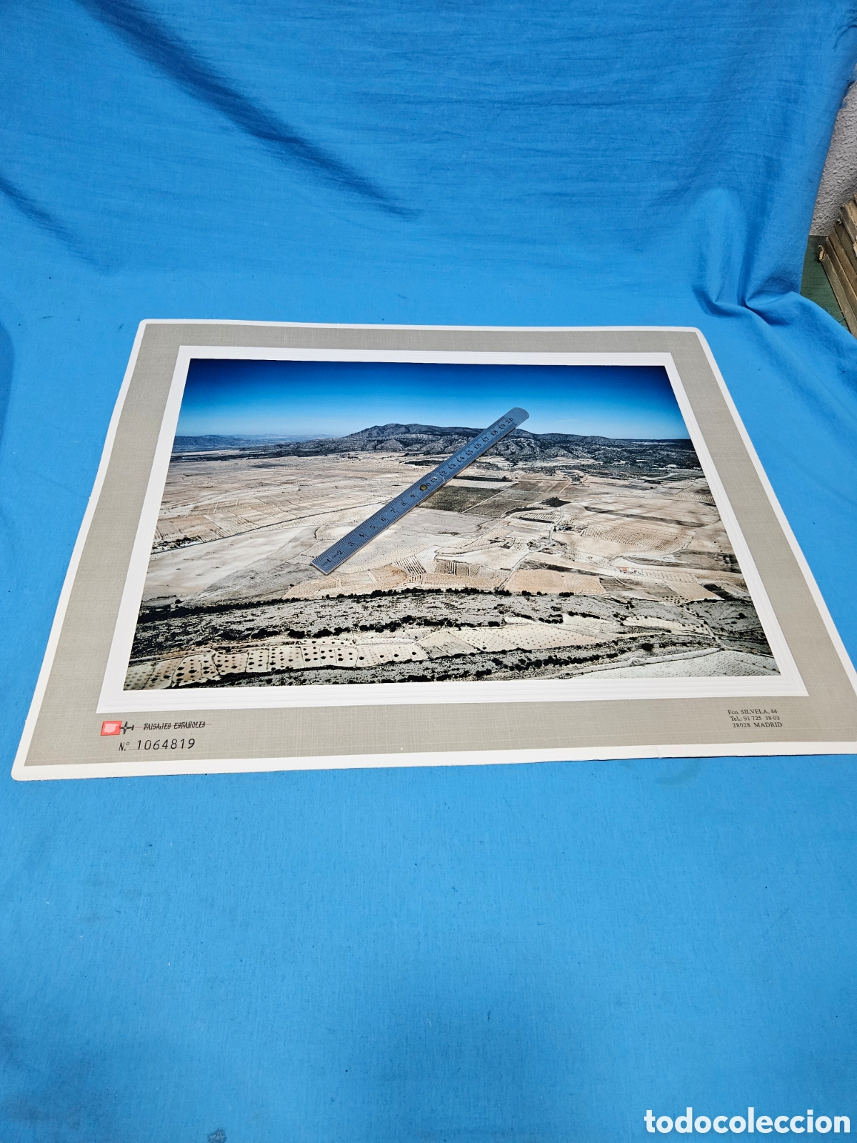 Fotograf&iacute;a antigua: FOTOGRAFIA AEREA PAISAJES ESPA&Ntilde;OLES 1064819 MURCIA