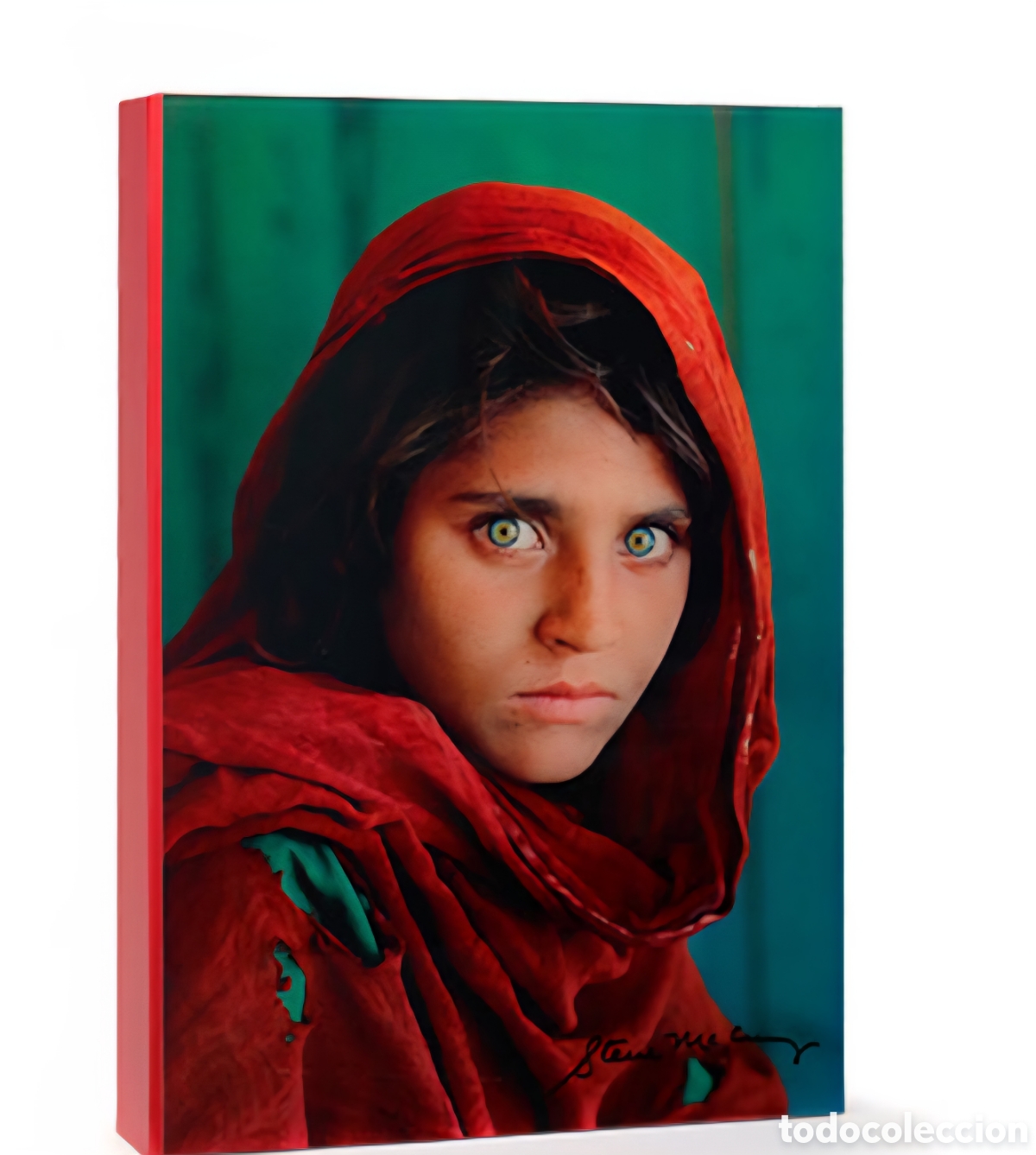 Fotograf&iacute;a antigua: Capturando el Alma * Steve McCurry * Artika