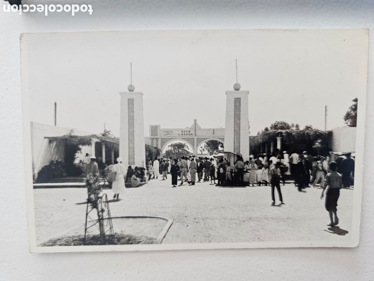 Fotograf&iacute;a antigua: Fotograf&iacute;a del Zoco de Nador, Melilla 1950s