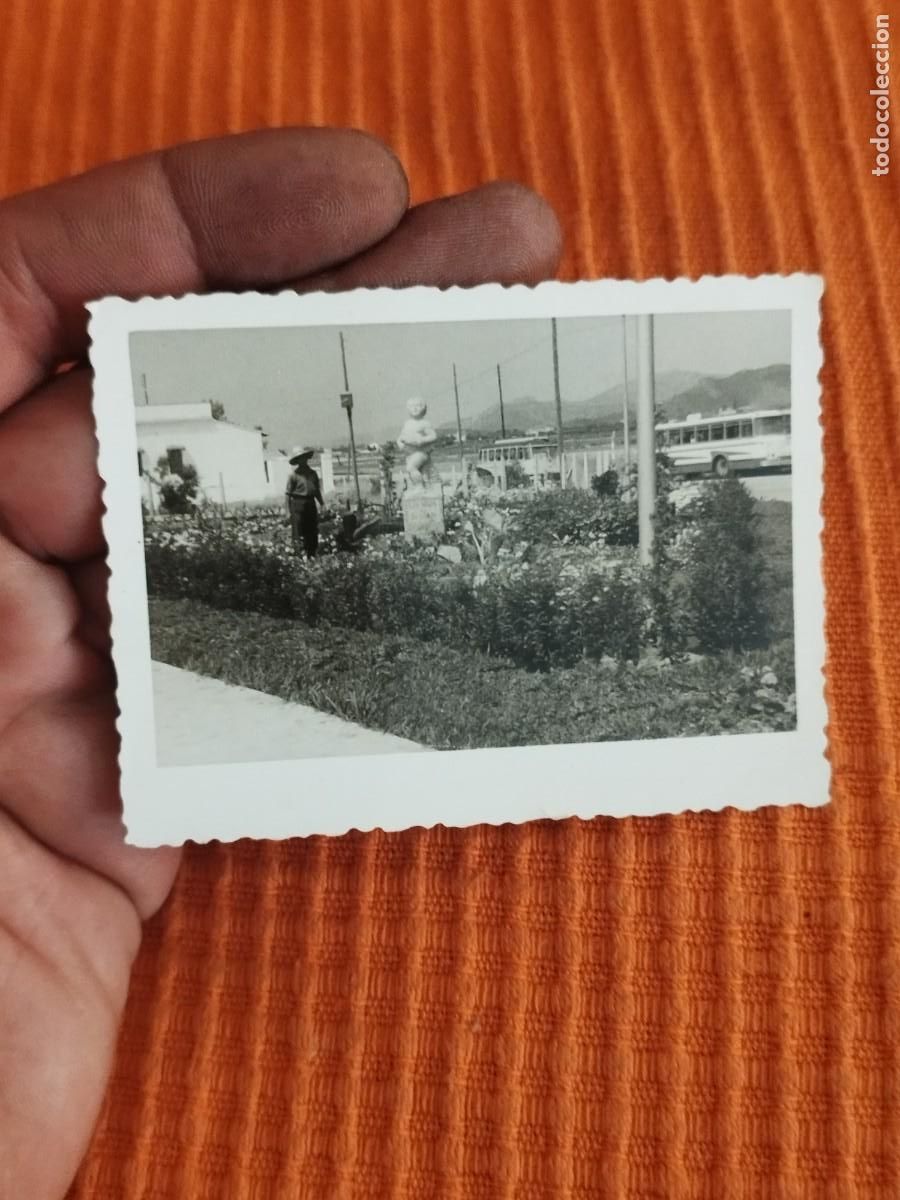 Fotograf&iacute;a antigua: Antigua foto de jard&iacute;n con busto, escultura. Monta&ntilde;as de fondo. Jardinero trabajando. Castellon.