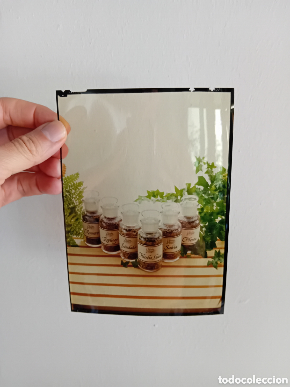 Fotograf&iacute;a antigua: DIAPOSITIVA PLACA GRAN FORMATO FOTOGRAF&Iacute;A PROFESIONAL PUBLICITARIA TARROS DE ESPECIAS. A&Ntilde;OS 90