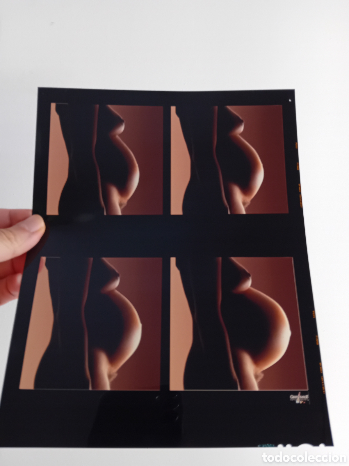 Fotograf&iacute;a antigua: ESPECTACULAR DIAPO PLACA GRAN FORMATO FOTO PROFESIONAL PUBLICITARIA MUJER DESNUDA EMBARAZO. A&Ntilde;OS 90