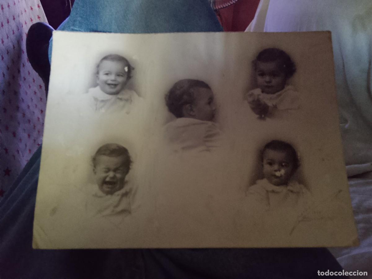 Fotograf&iacute;a antigua: fotograf&iacute;a antigua impresa en papel que re&uacute;ne cinco retratos individuales de beb&eacute;s
