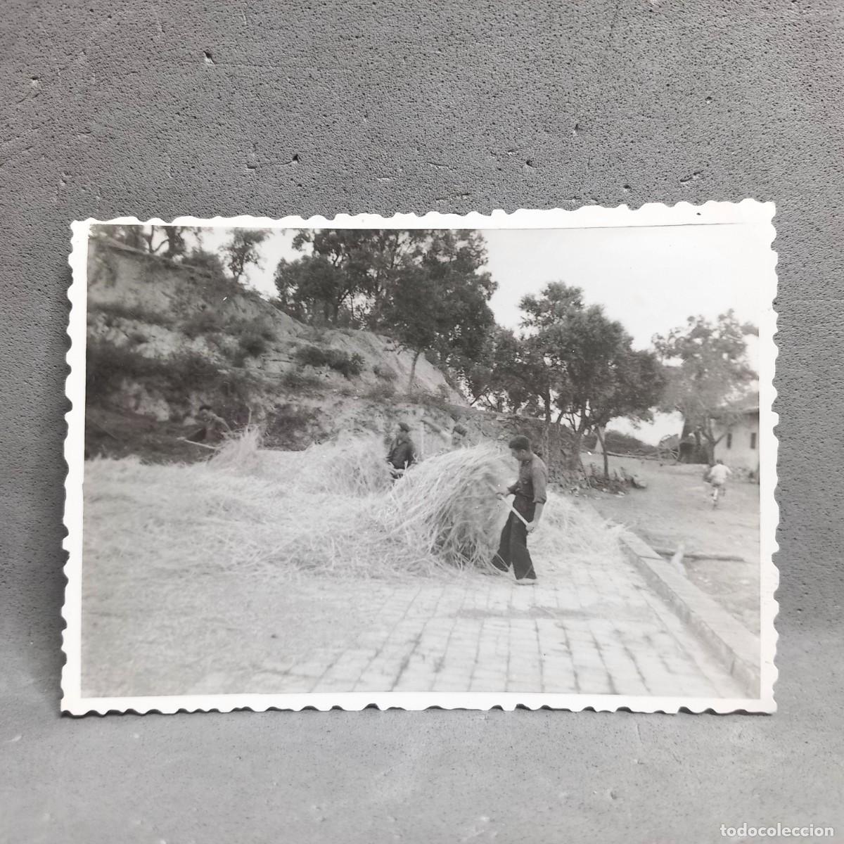 Fotograf&iacute;a antigua: Antigua fotograf&iacute;a. Hombres trabajando en la era de trillar. Can Bordoi, Llinars del Vall&egrave;s a&ntilde;os 60