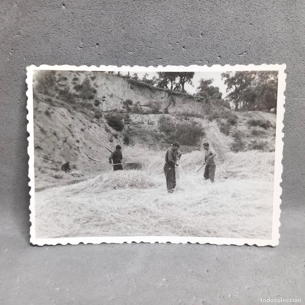 Fotograf&iacute;a antigua: Antigua fotograf&iacute;a. Hombres trabajando en la era de trillar. Can Bordoi, Llinars del Vall&egrave;s a&ntilde;os 60