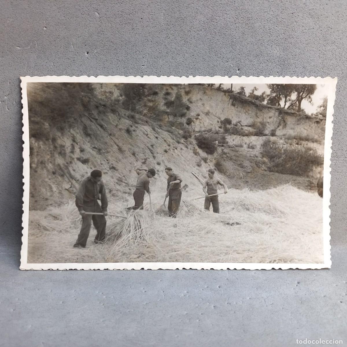 Fotograf&iacute;a antigua: Antigua fotograf&iacute;a. Hombres trabajando en la era de trillar. Can Bordoi, Llinars del Vall&egrave;s a&ntilde;os 60