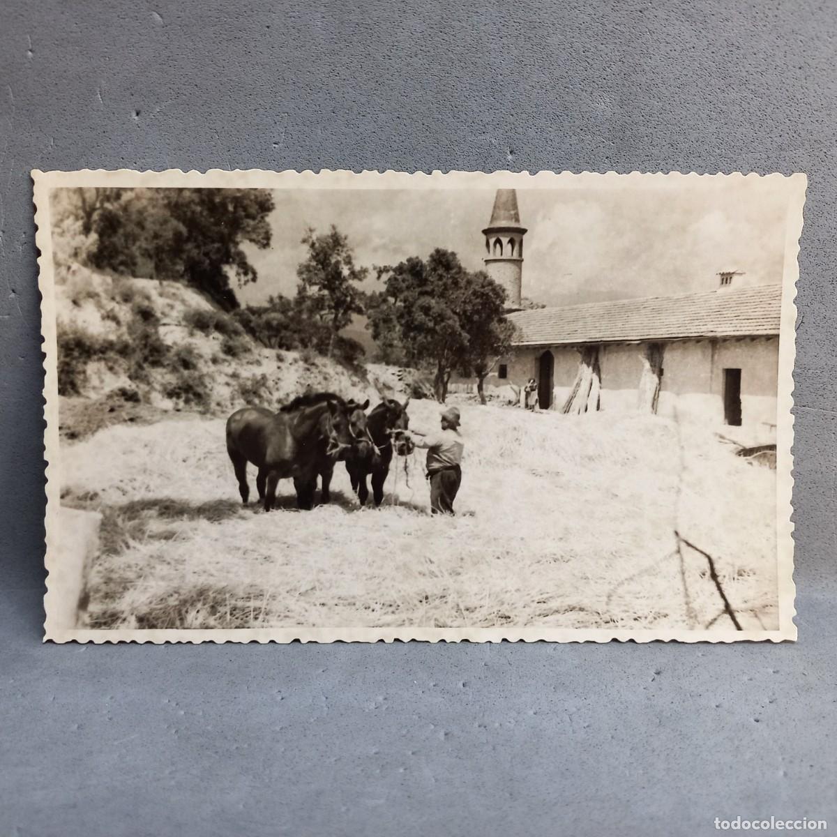 Fotograf&iacute;a antigua: Antigua fotograf&iacute;a. Hombre con caballos en la era de trillar. Can Bordoi, Llinars del Vall&egrave;s a&ntilde;os 60