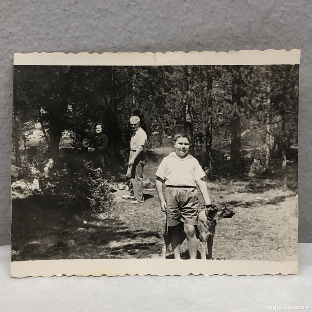 Fotograf&iacute;a antigua: ANTIGUA FOTOGRAFIA - NI&Ntilde;O CON PERRO - ENTORNO BOSCOSO - A&Ntilde;OS 40 - 90 X 70 MM / 1327