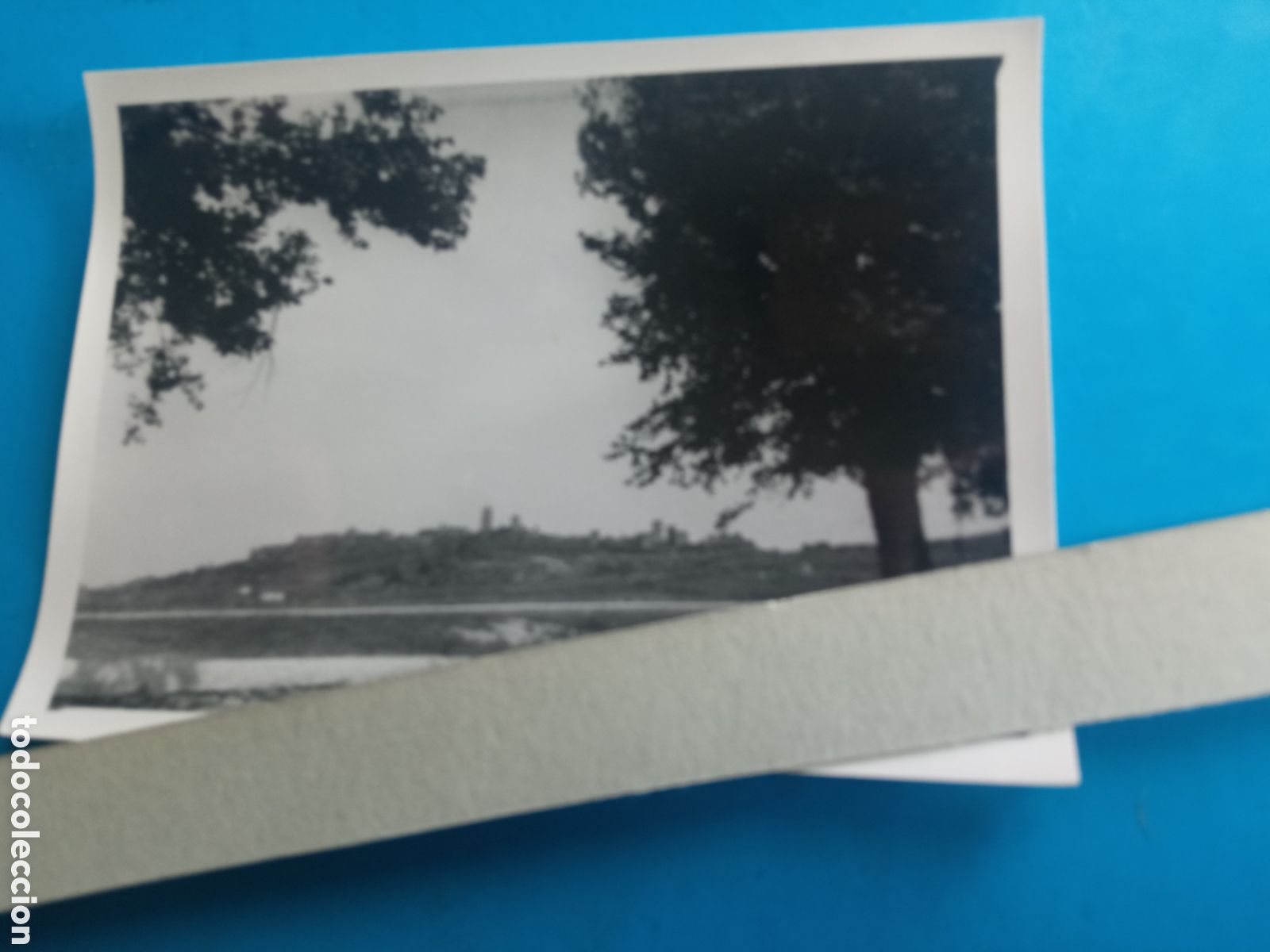 Fotograf&iacute;a antigua: Antigua fotograf&iacute;a, Trujillo 1952, mide 99x71 mm