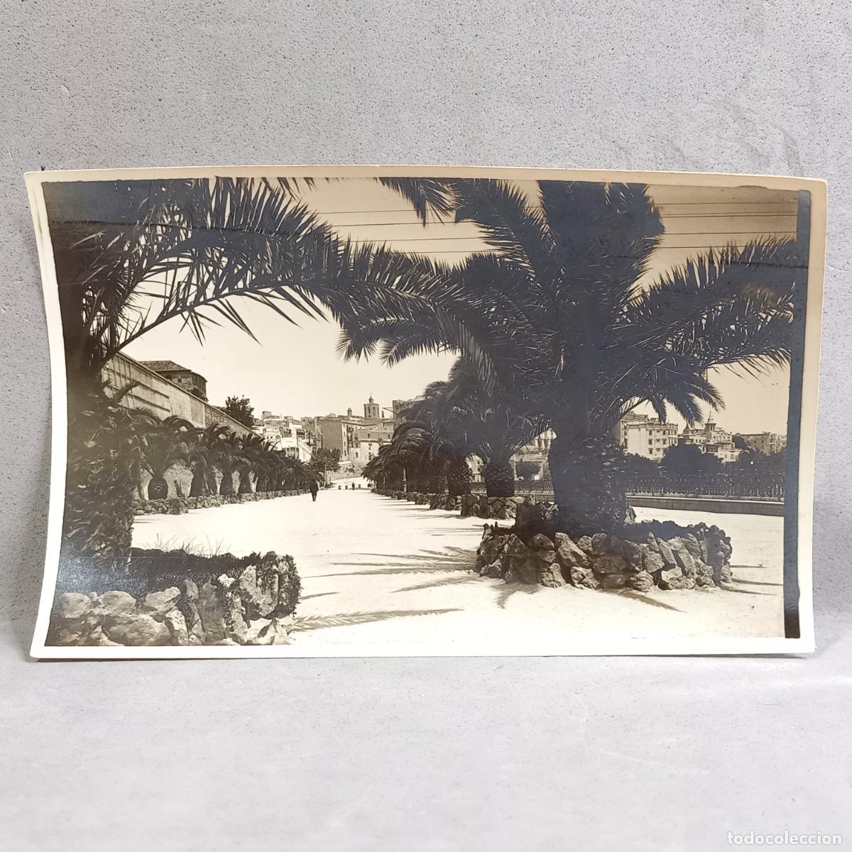 Fotograf&iacute;a antigua: Antigua fotograf&iacute;a Hermenegild Vallv&eacute;. Tarragona, Paseo de Santa Clara (de les Palmeres). A&ntilde;os 20-30