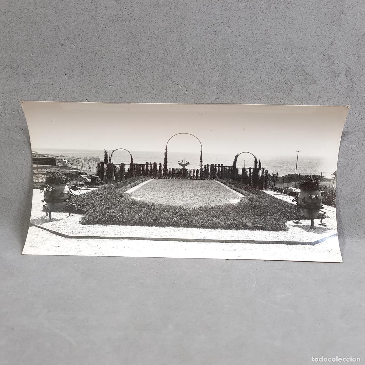Fotograf&iacute;a antigua: Antigua fotograf&iacute;a Hermenegild Vallv&eacute;. Jardines de Mas Bonet, Villa Herminia, Tarragona. A&ntilde;os 20-30