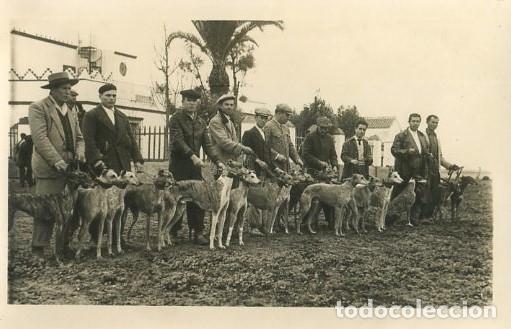 Fotograf&iacute;a antigua: LOTE DE CUATRO FOTOGRAFIAS ANTIGUAS DE UNA CACERIA EN LOS A&Ntilde;OS 30, FOTOS ARJONA SEVILLA. FOTSEV-1966