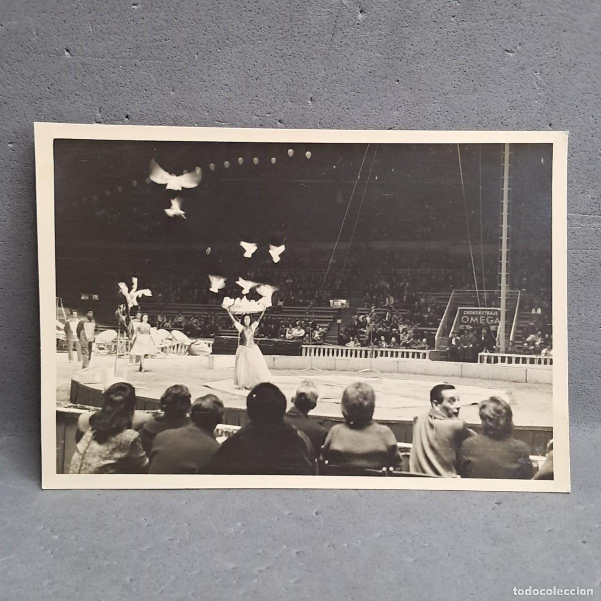Fotograf&iacute;a antigua: Antigua fotograf&iacute;a de Circo. Espect&aacute;culo de columbicultora con Palomas. Barcelona 1961.
