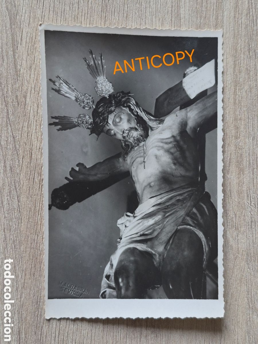Fotograf&iacute;a antigua: Fotograf&iacute;a Sant&iacute;simo Cristo de Burgos - Sevilla - Fot&oacute;grafo M. ALBARR&Aacute;N - 13,5 x 8,5 cm. Antigua