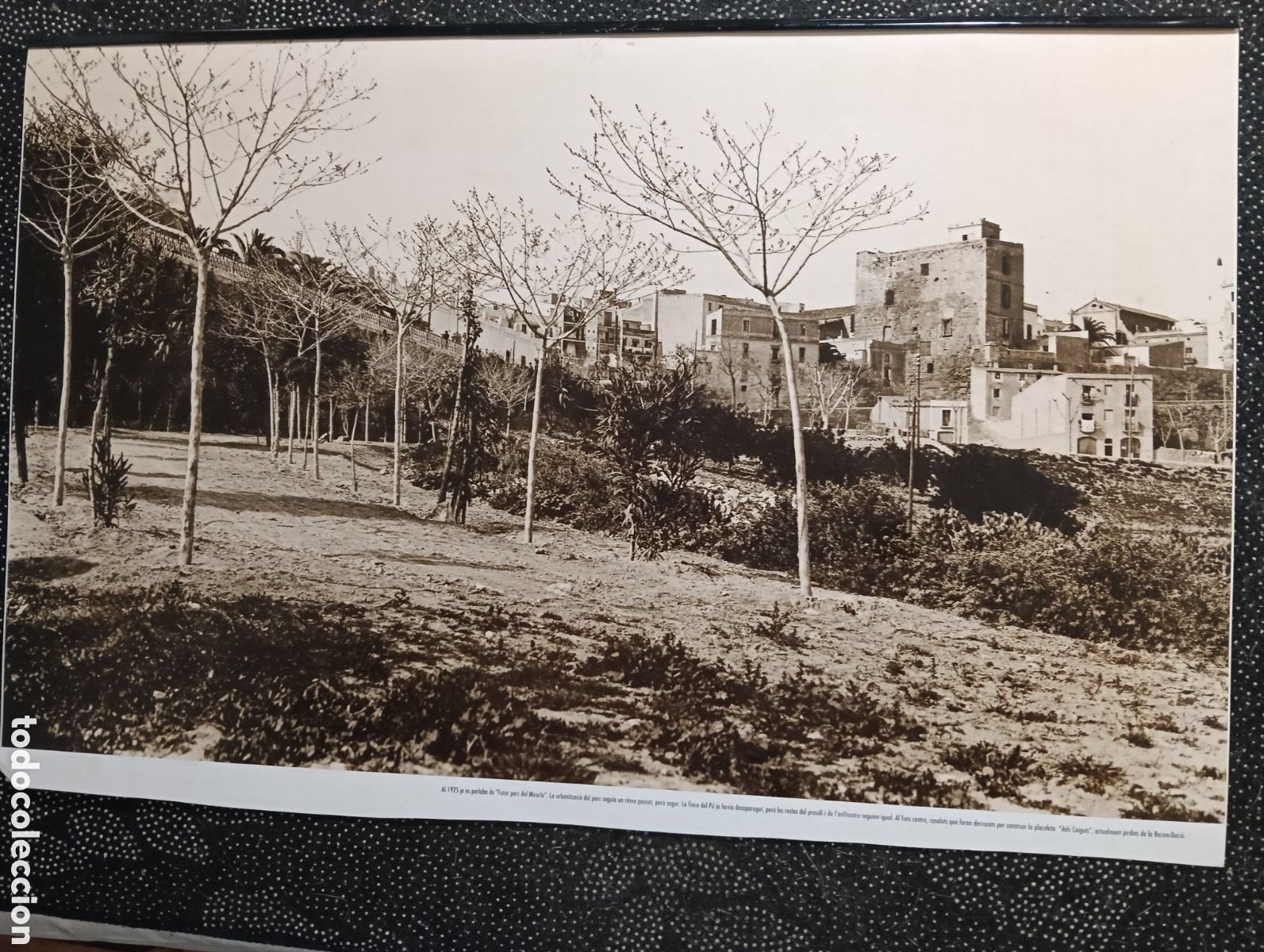 Fotograf&iacute;a antigua: Fotograf&iacute;a del parque del Miracle en Tarragona siglo XX mide 43 x 28 cm reproducci&oacute;n