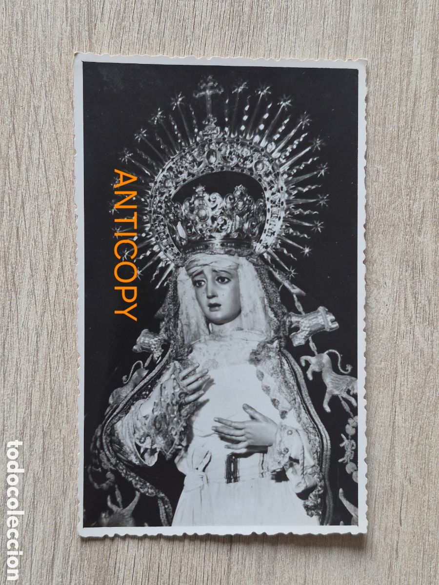 Fotograf&iacute;a antigua: Fotograf&iacute;a Virgen de Montserrat - Sevilla - Foto SERRANO - 14 x 8,6 cm. Antigua