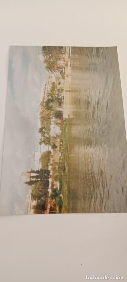 Fotograf&iacute;a antigua: FOTO ARTISTICA EL DE FOTO C-FPP