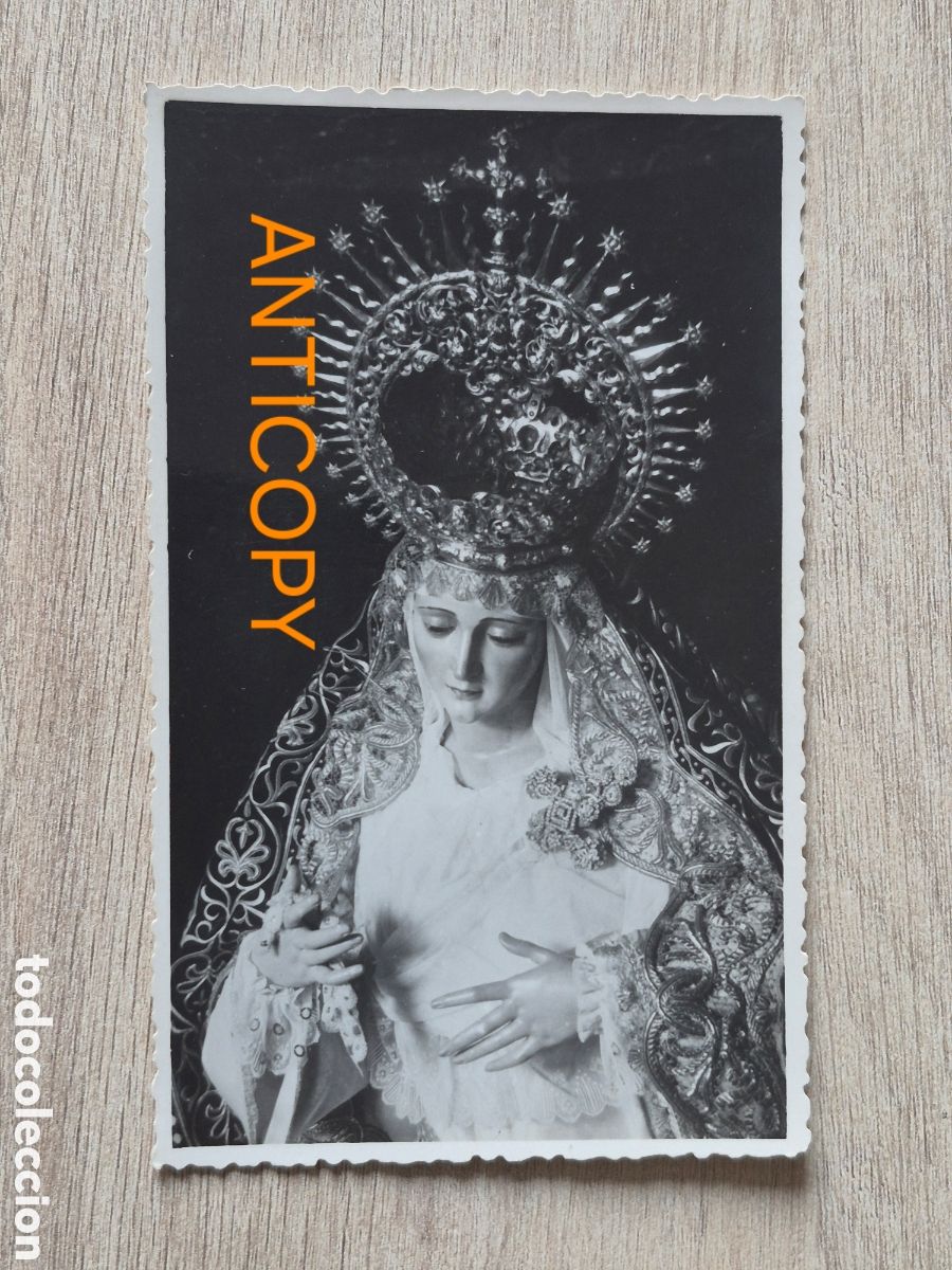 Fotograf&iacute;a antigua: Fotograf&iacute;a Virgen del Patrocinio - EL CACHORRO - Sevilla - Foto SERRANO - 14 x 8,6 cm. Antigua