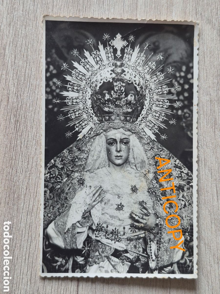 Fotograf&iacute;a antigua: Fotograf&iacute;a Virgen Esperanza Macarena - Sevilla - Foto SERRANO - 14 x 8,6 cm. Antigua