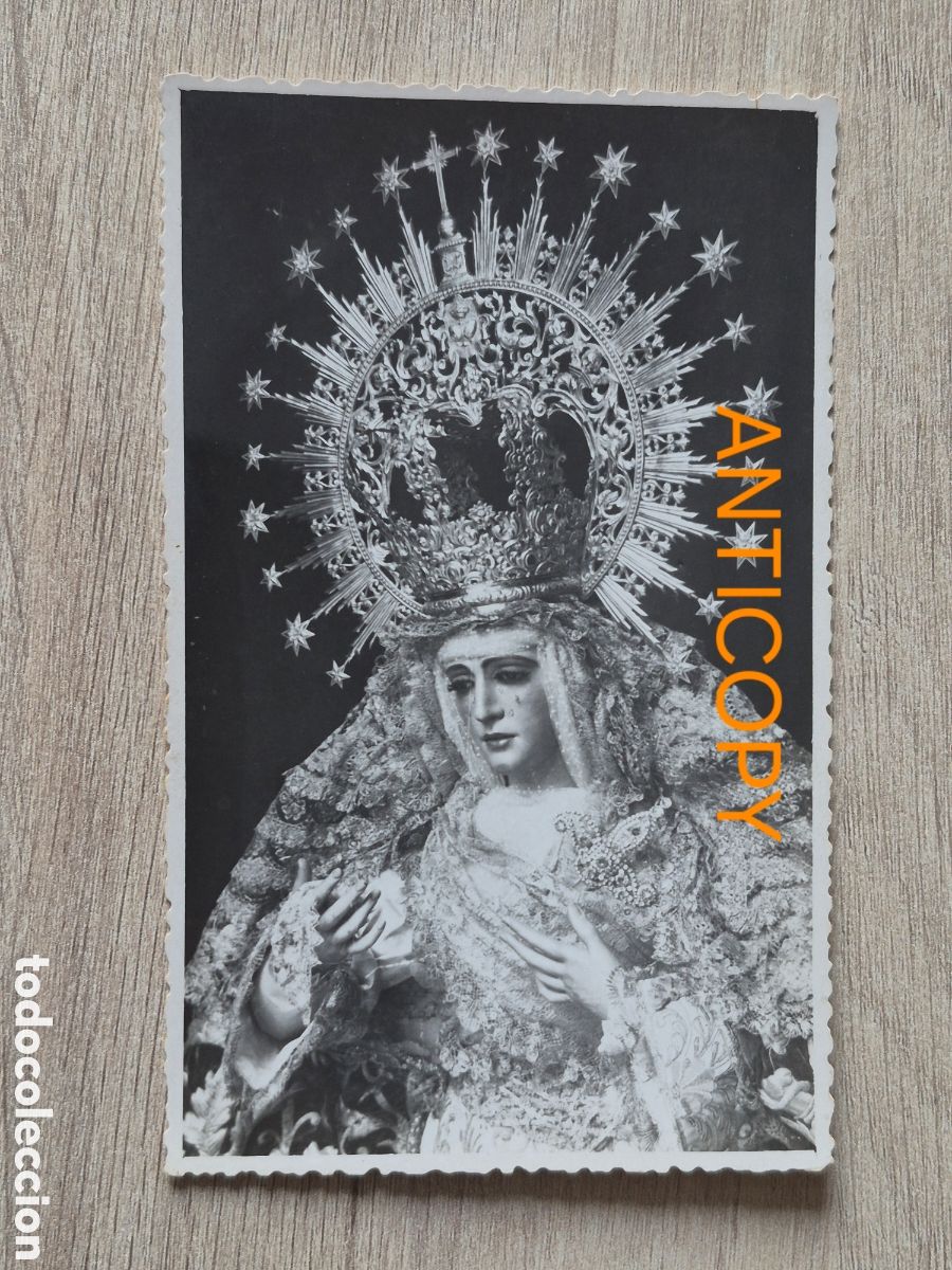 Fotograf&iacute;a antigua: Fotograf&iacute;a Virgen Esperanza de Triana - Sevilla - Foto SERRANO - 14 x 8,6 cm. Antigua