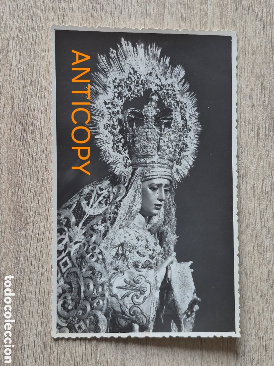 Fotograf&iacute;a antigua: Fotograf&iacute;a Virgen Nuestra Se&ntilde;ora de la Amargura - Sevilla - Foto SERRANO - 14 x 8,6 cm. Antigua