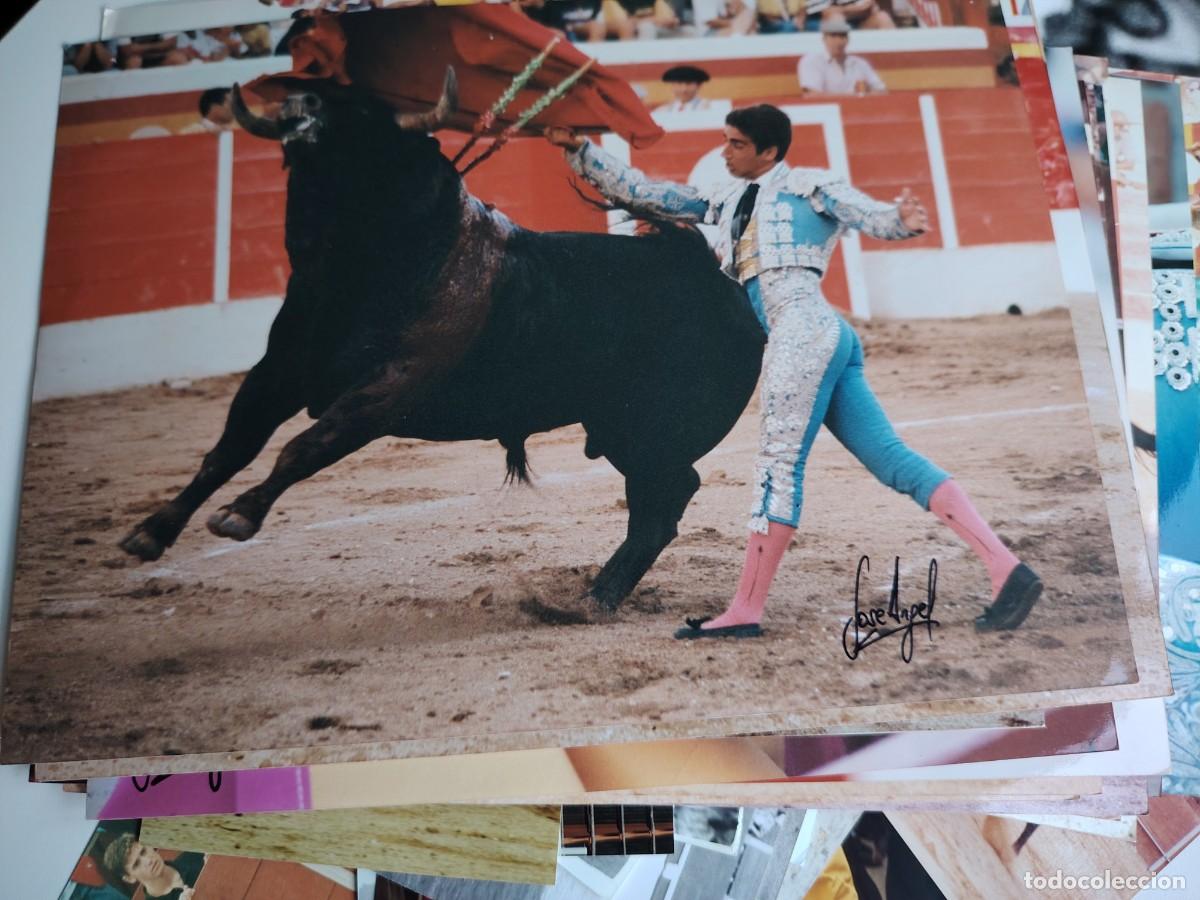 Fotograf&iacute;a antigua: lote de 59 FOTOGRAF&Iacute;As - TOROS - TAUROMAQUIA - TORERO varios tama&ntilde;os y firmas