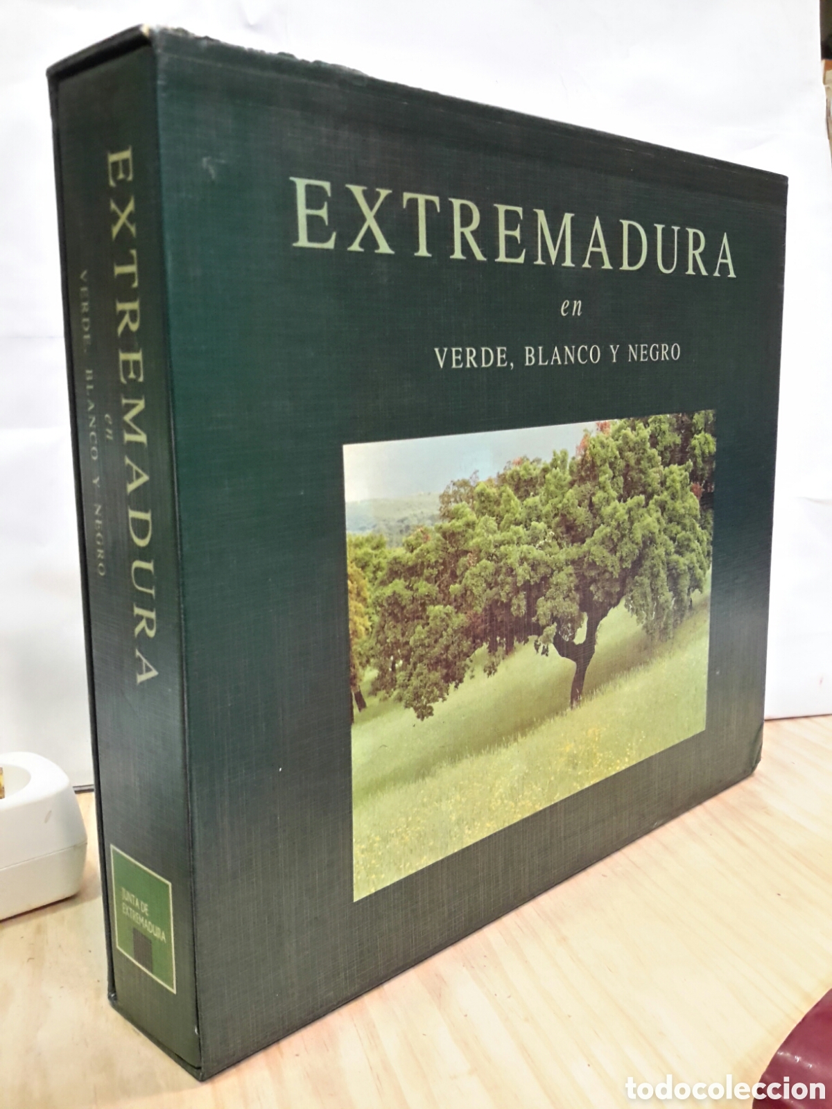 Fotograf&iacute;a antigua: Extremadura en verde, blanco y negro