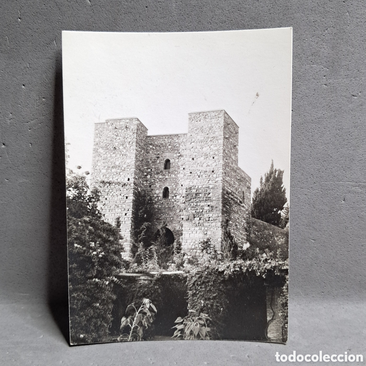 Fotograf&iacute;a antigua: Antigua fotograf&iacute;a, Alcazaba de M&aacute;laga, fortificaci&oacute;n palaciega de la &eacute;poca isl&aacute;mica. A&ntilde;o 1960