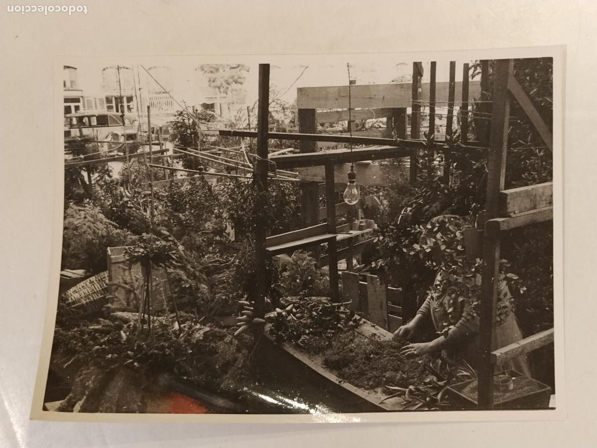 Photographie ancienne: BARCELONA - FERIA DE BELENES 1955 - FOTO RUIZ MANENT - FOTOGRAFIA ANTIGUA DE PRENSA - 4