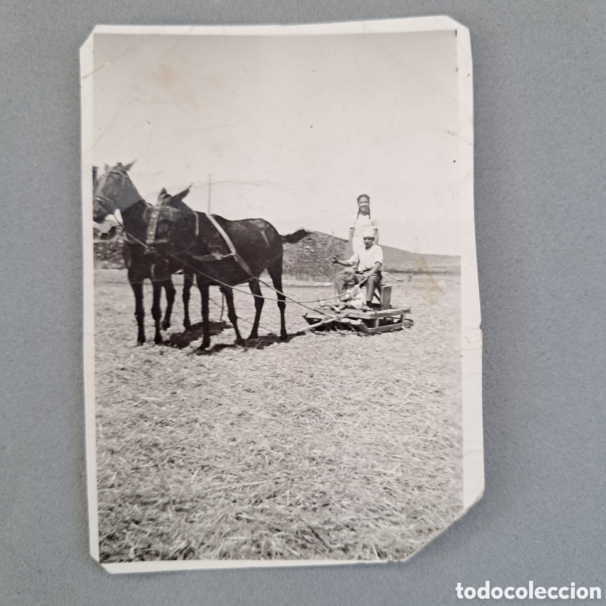 Photographie ancienne: Antigua fotografia de chica y chico con caballos en la era de trilar. Prades - Tarragona. a&ntilde;o 1941