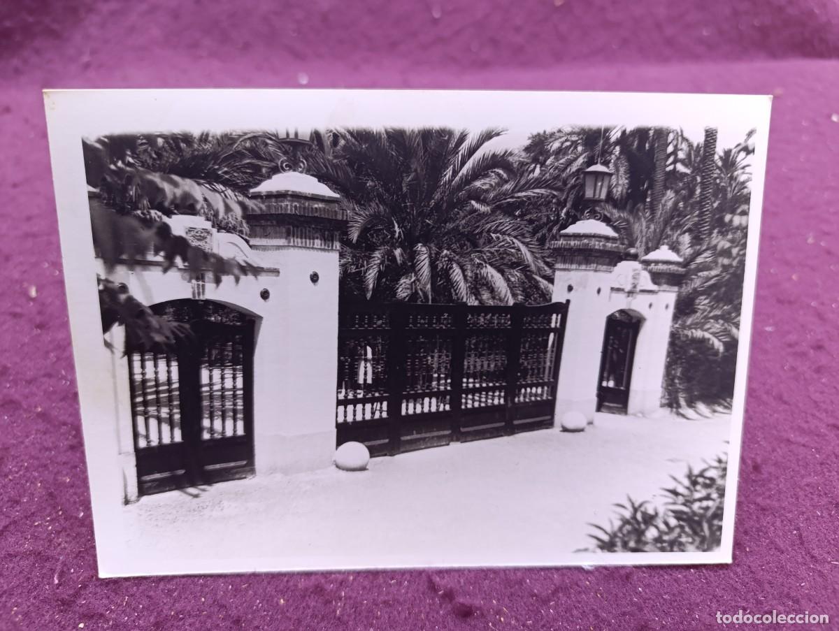 Fotograf&iacute;a antigua: Antigua Fotograf&iacute;a de Archivo, de Elche, P&eacute;rez Segu&iacute;, Sello del fot&oacute;grafo al dorso